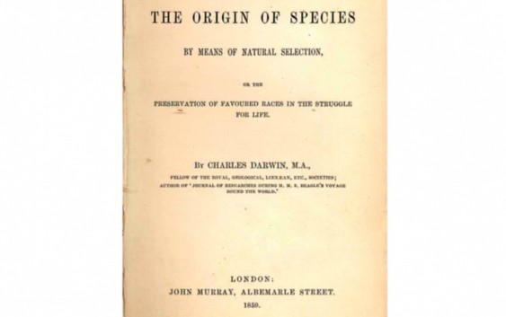 Los 5 libros más buscados por coleccionistas