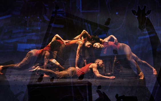 JUNGLE BOOK AL LICEU