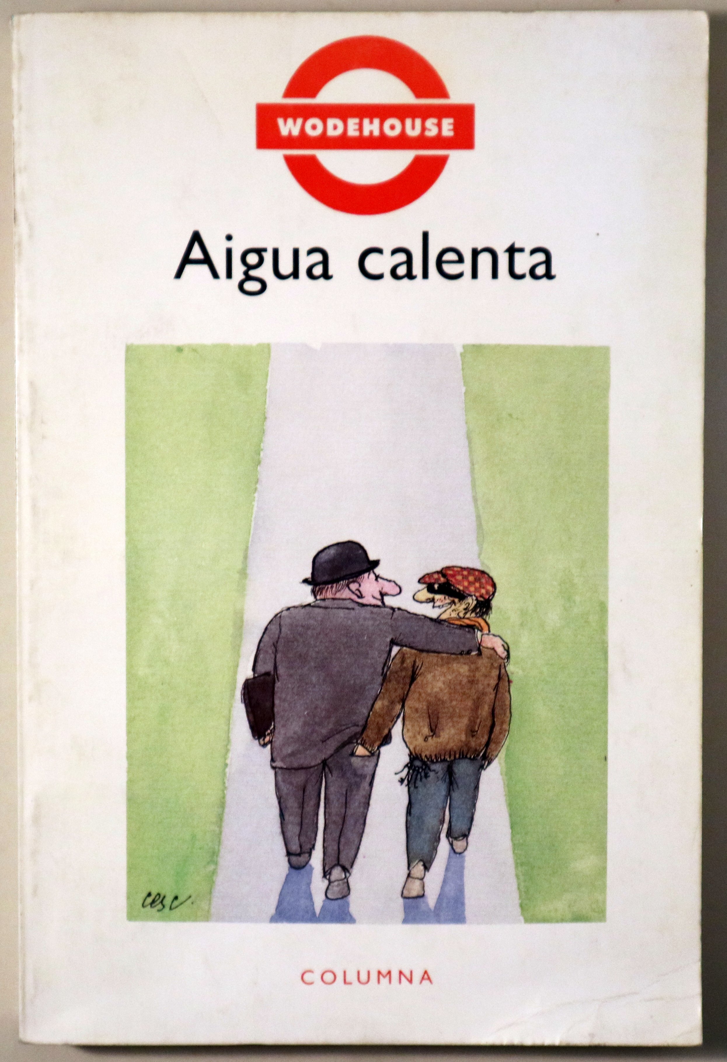 AIGUA CALENTA - Barcelona 1989 - 1a edició en català
