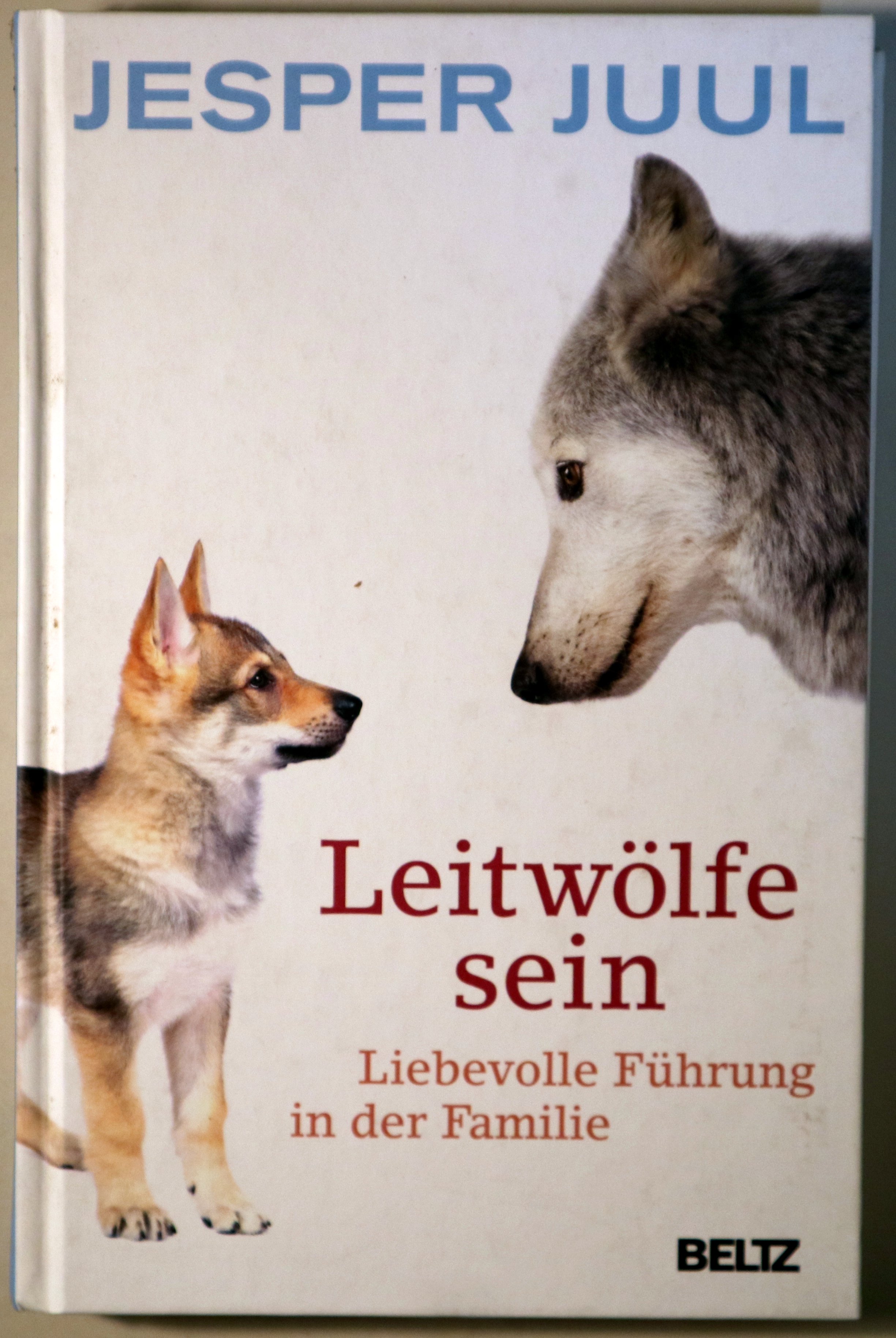 LEITWÖLFE SEIN. Liebevolle Führung in der Familie - Weinheim 2016