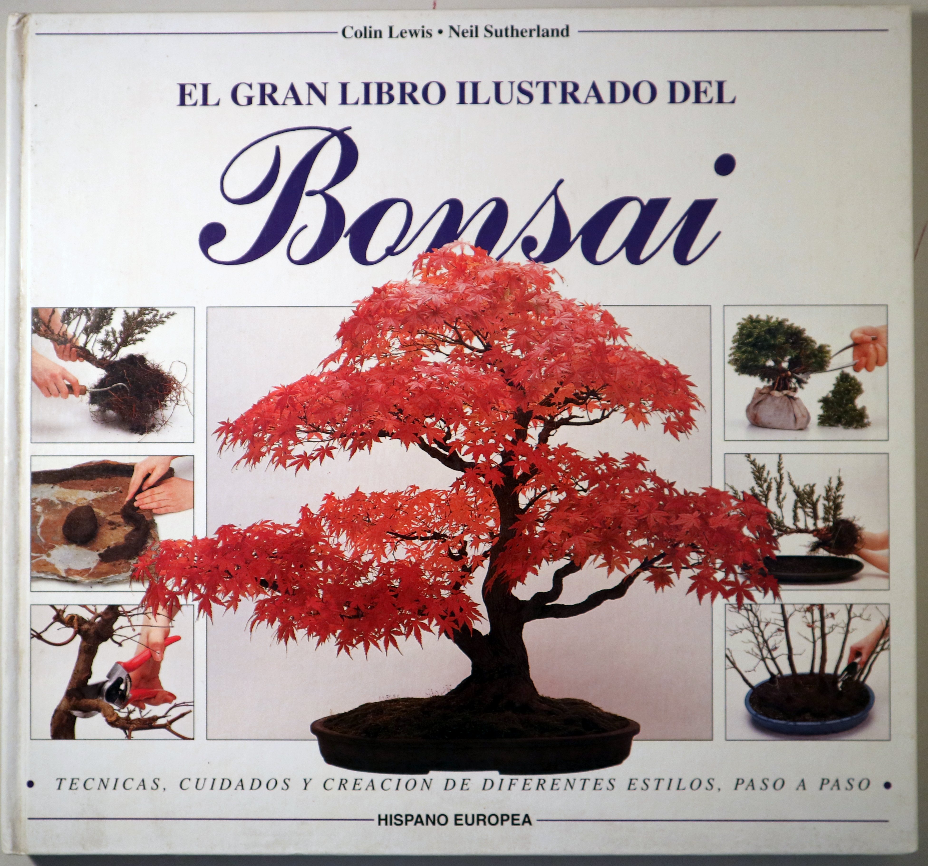 EL GRAN LIBRO ILUSTRADO DEL BONSAI - Barcelona 1993 - Ilustrado