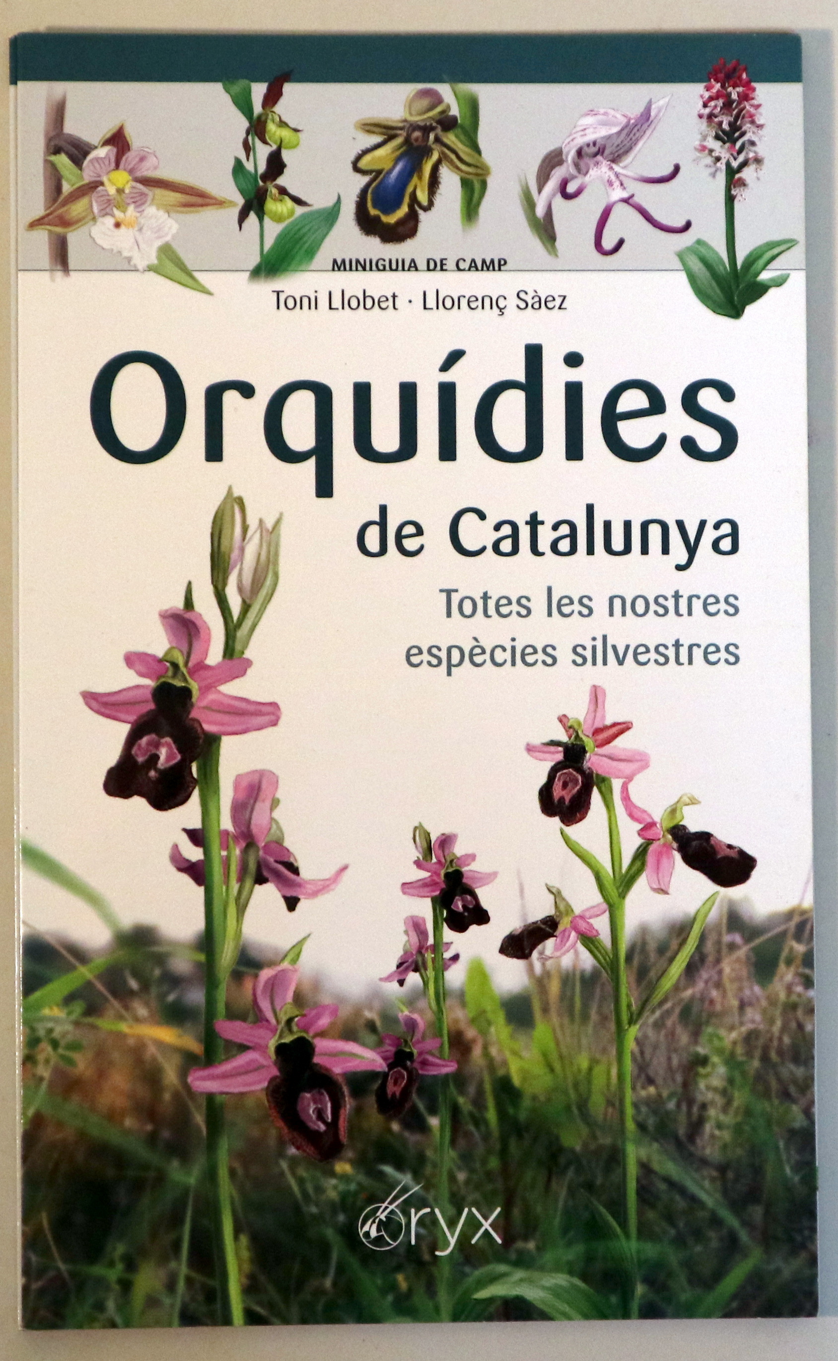 ORQUÍDIES DE CATALUNYA - s/l s/d - Il·lustrat