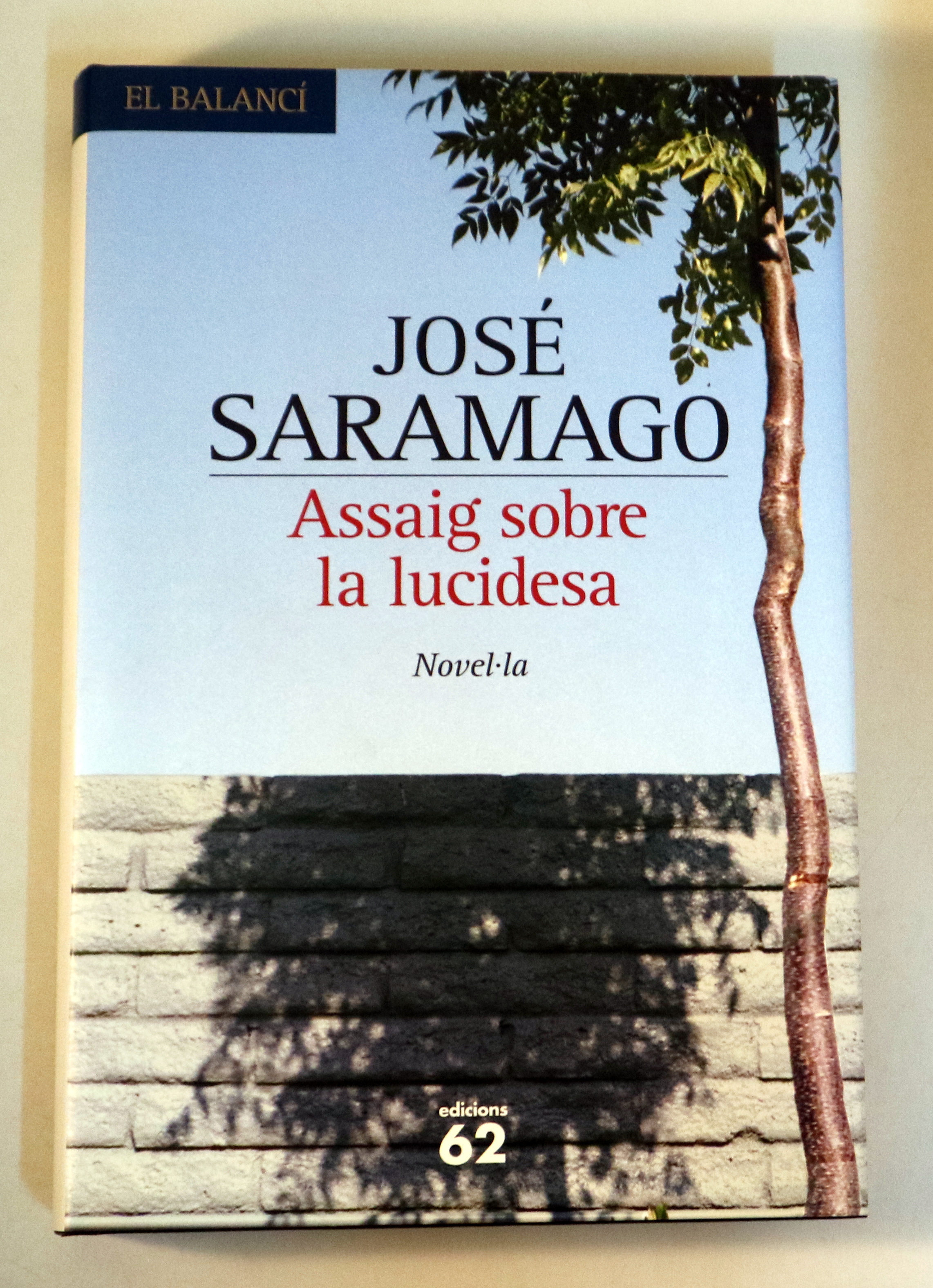 ASSAIG SOBRE LA LUCIDESA - Barcelona 2004 - 1a edició en català
