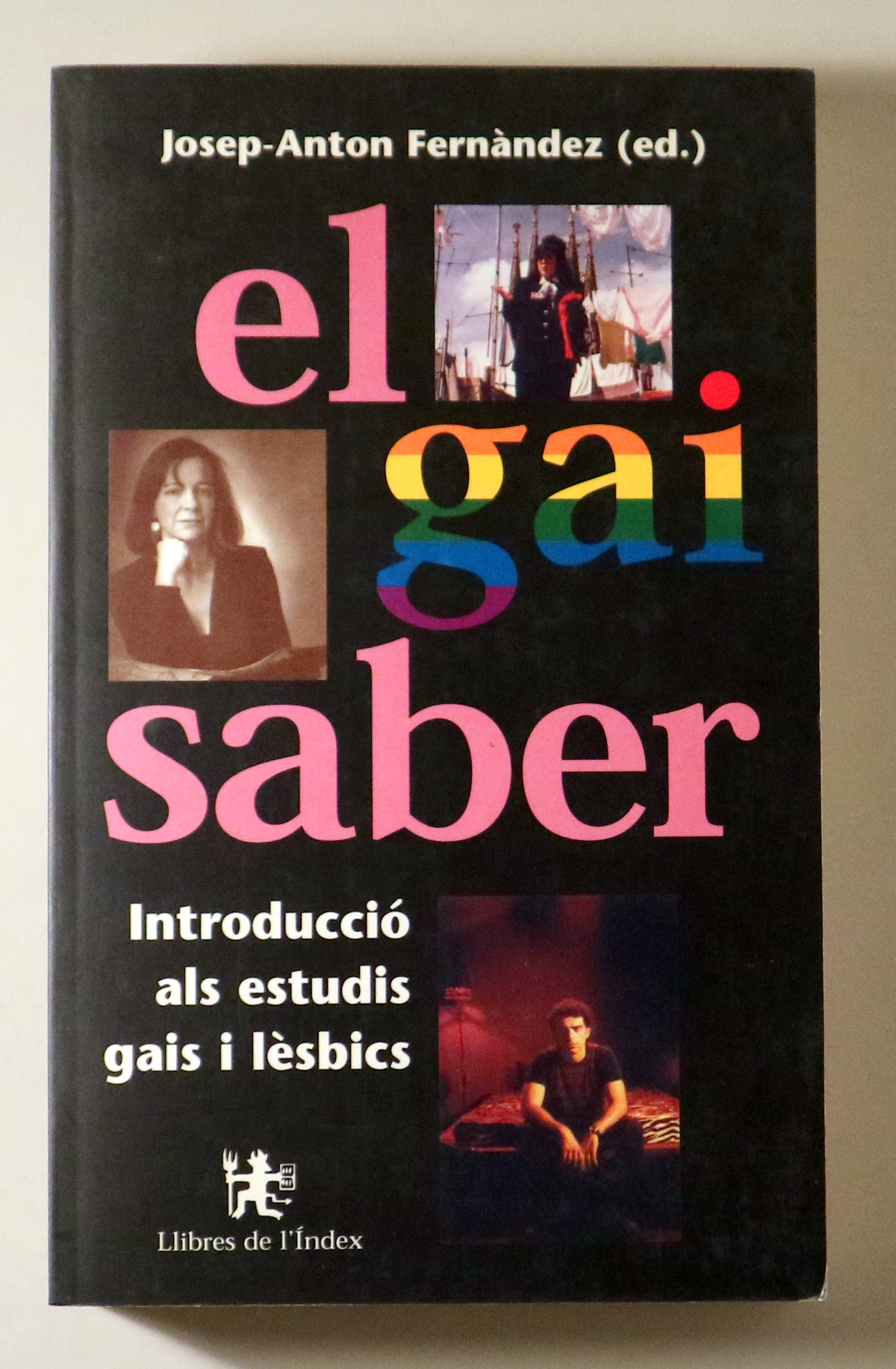EL GAI SABER. Introducció als estudis gais i lèsbics - Barcelona 2000