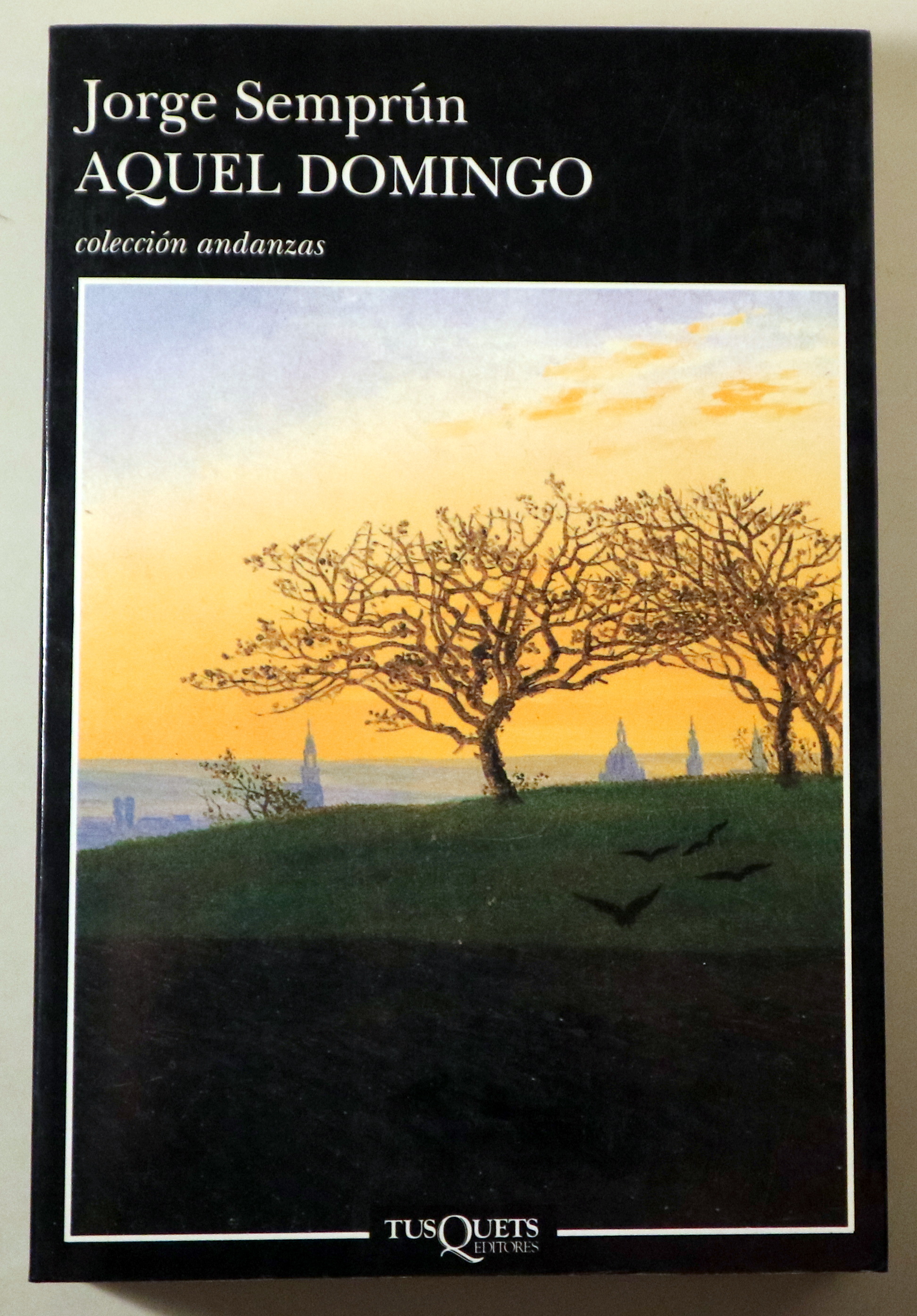 AQUEL DOMINGO - Barcelona 1999