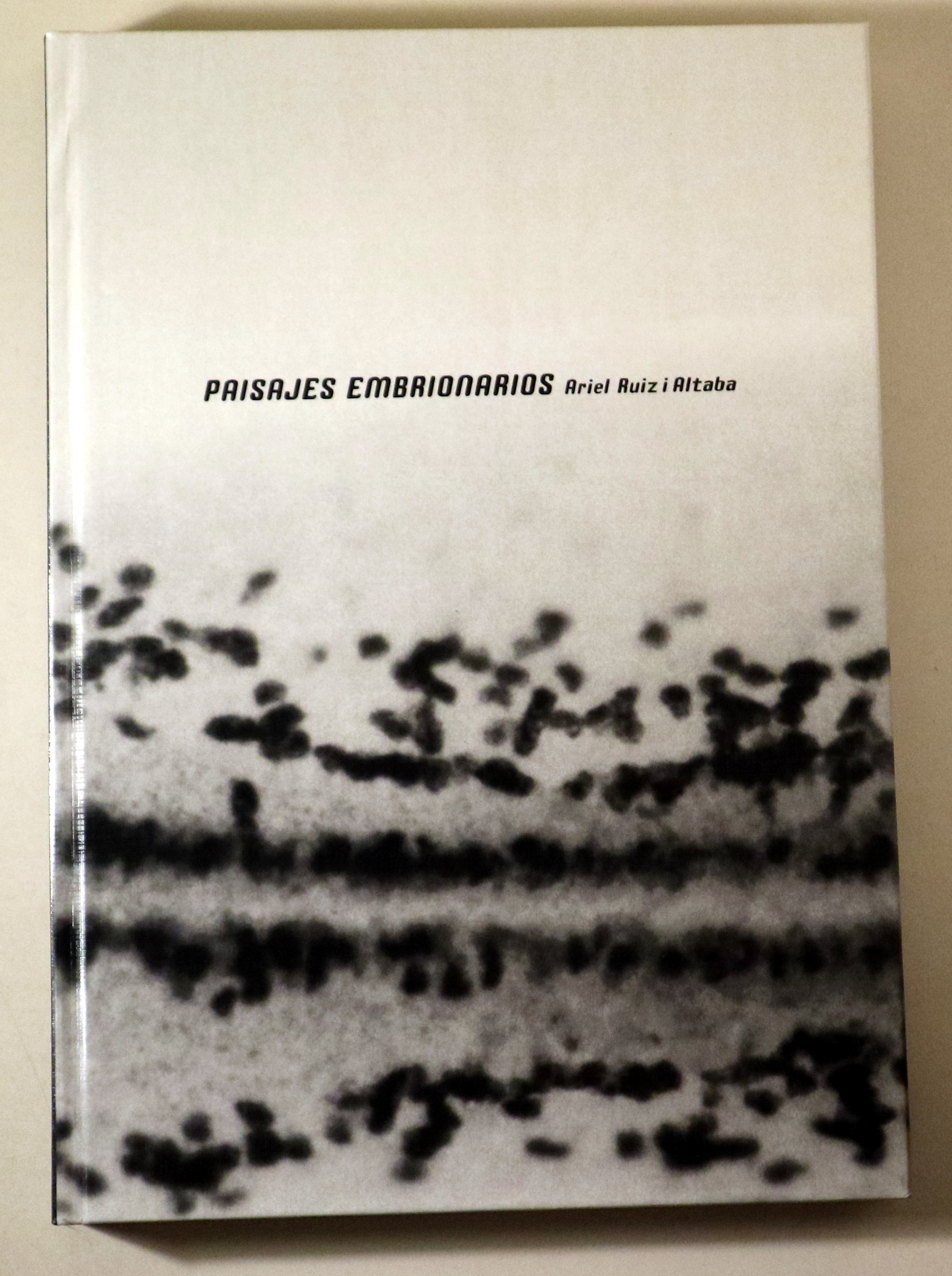 PAISAJES EMBRIONARIOS - Barcelona 2001 - Muy ilustrado