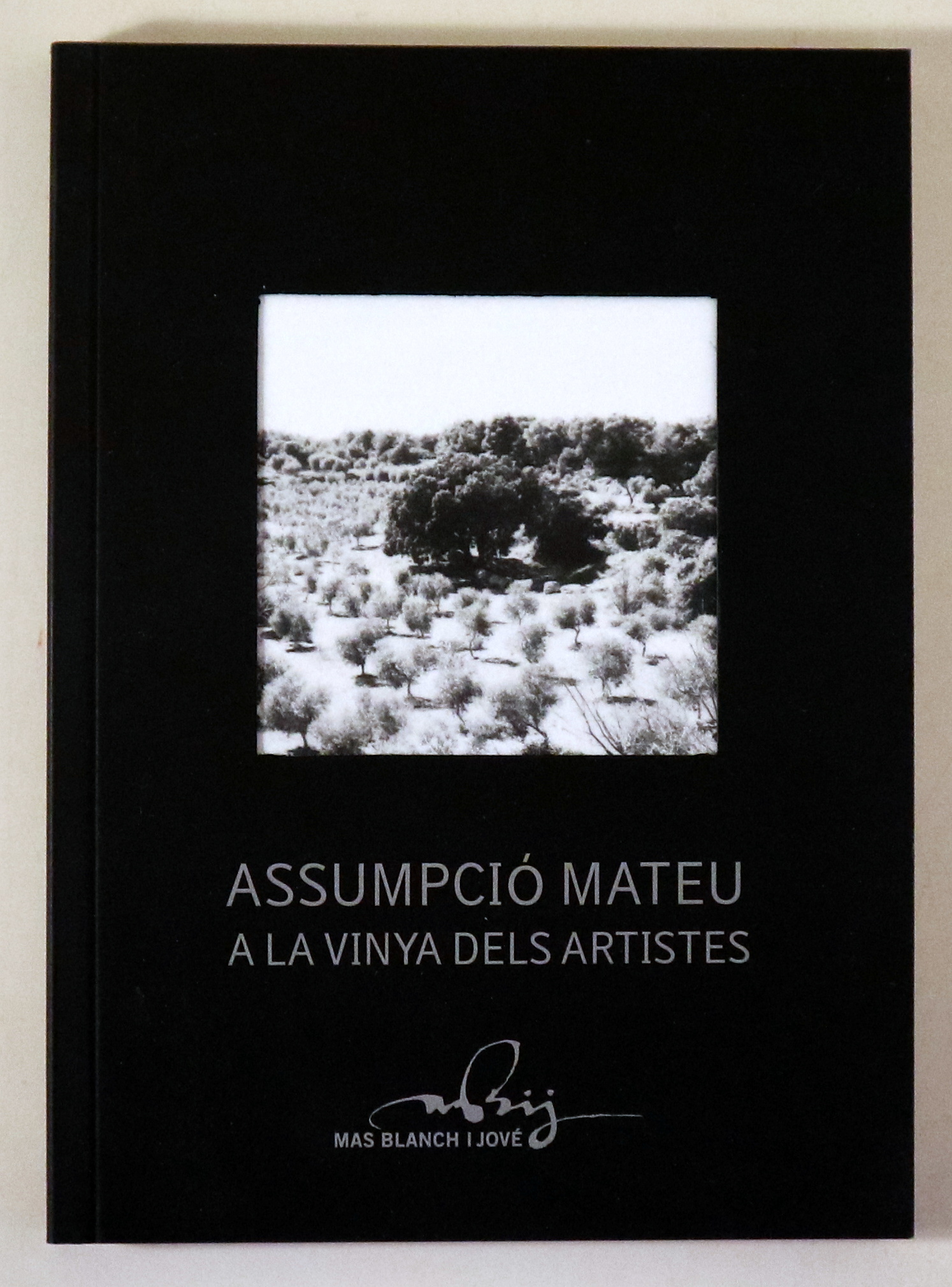 ASSUMPCIÓ MATEU A LA VINYA DELS ARTISTES - Lleida s/d - Molt il·lustrat