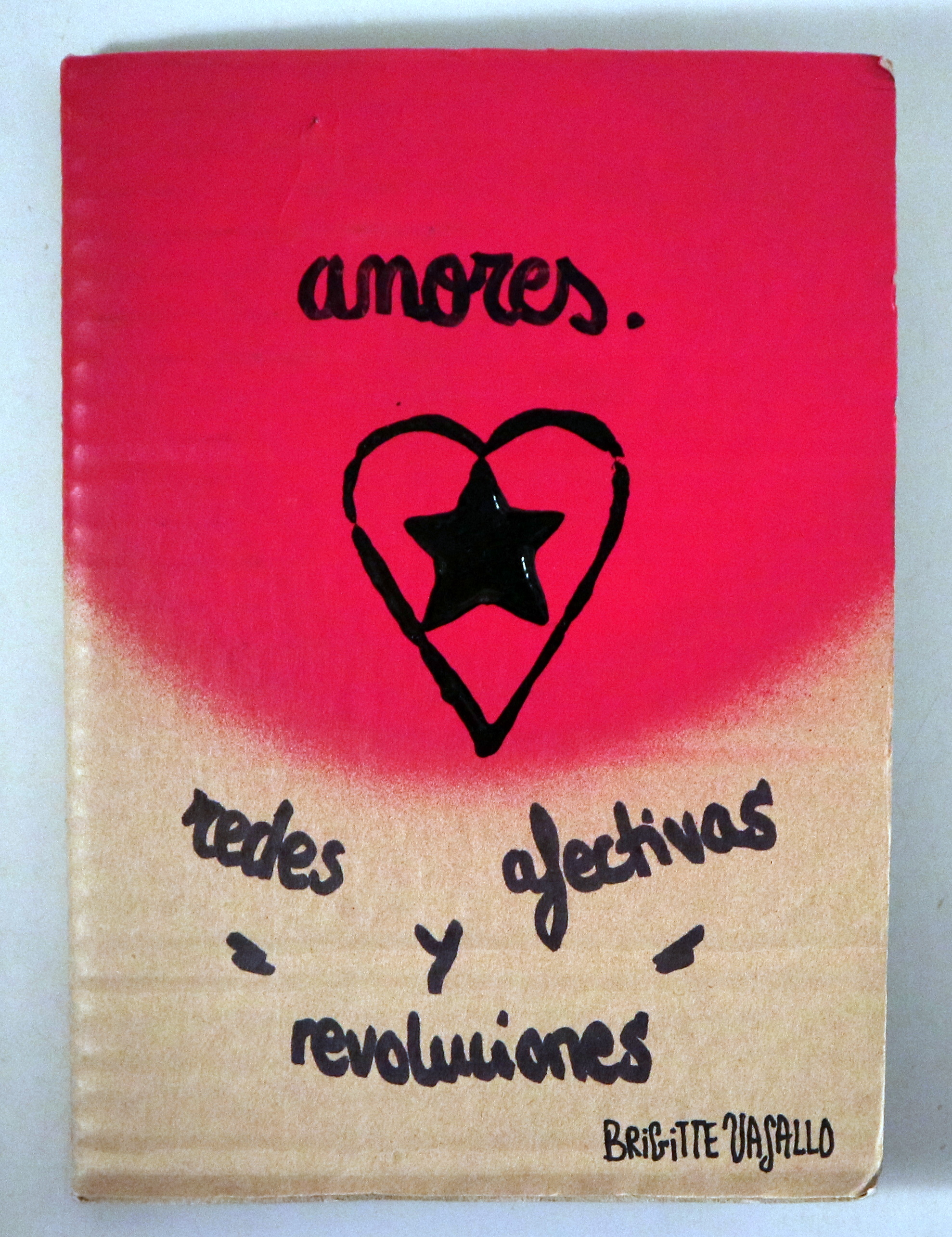 AMORES: REDES AFECTIVAS Y "REVOLUCIONES" - Oaxaca-València 2015 - Ilustrado - 1ª edición