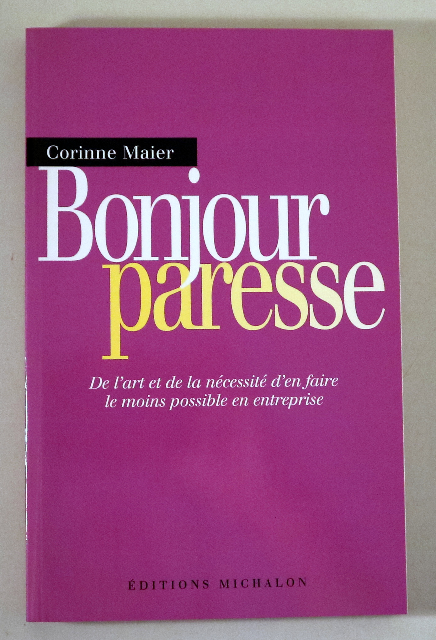 BONJOUR PARESSE: De l'art et de la nécessité d'en faire le moins possible en entreprise - Paris 2004