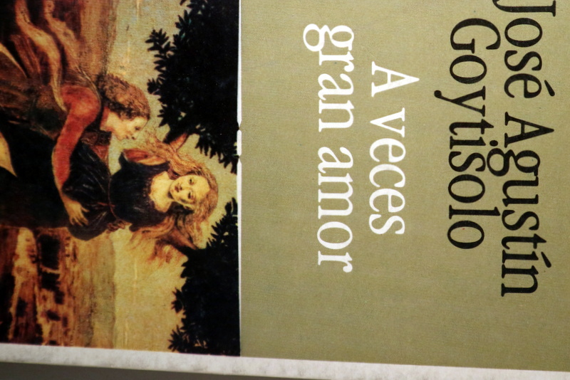 A VECES GRAN AMOR - Barcelona 1981 - 1ª edición