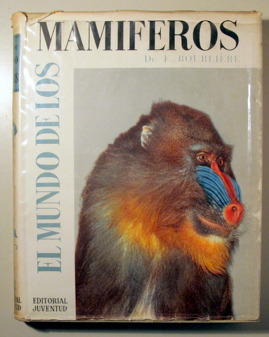 EL MUNDO DE LOS MAMIFEROS - Barcelona 1958 - Ilustrado