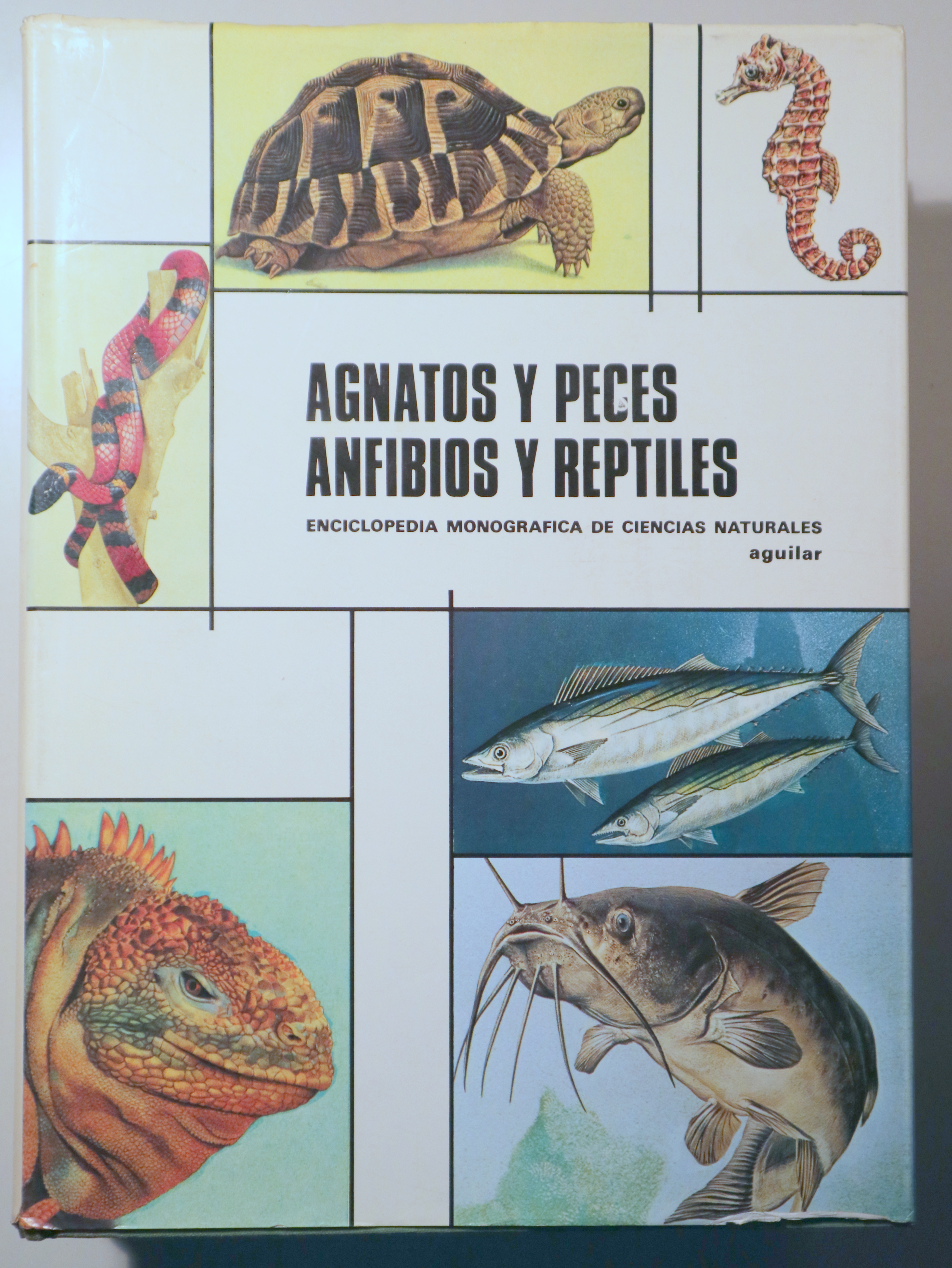 AGNATOS Y PECES ANFIBIOS Y REPTILES. Enciclopedia monográfica de ciencias naturales - Madrid 1974 - Muy ilustrado