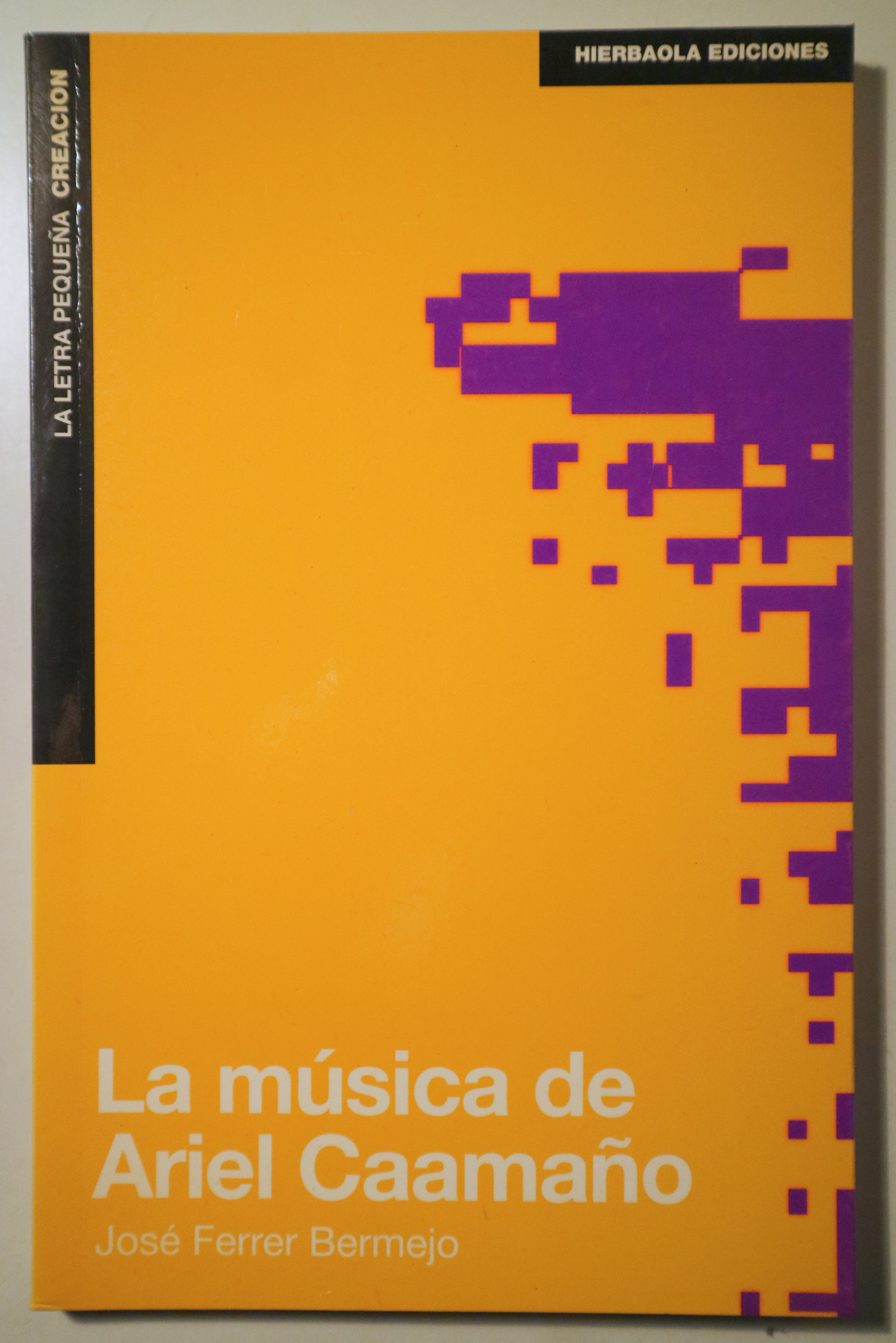 LA MÚSICA DE ARIEL CAAMAÑO - Pamplona 1992