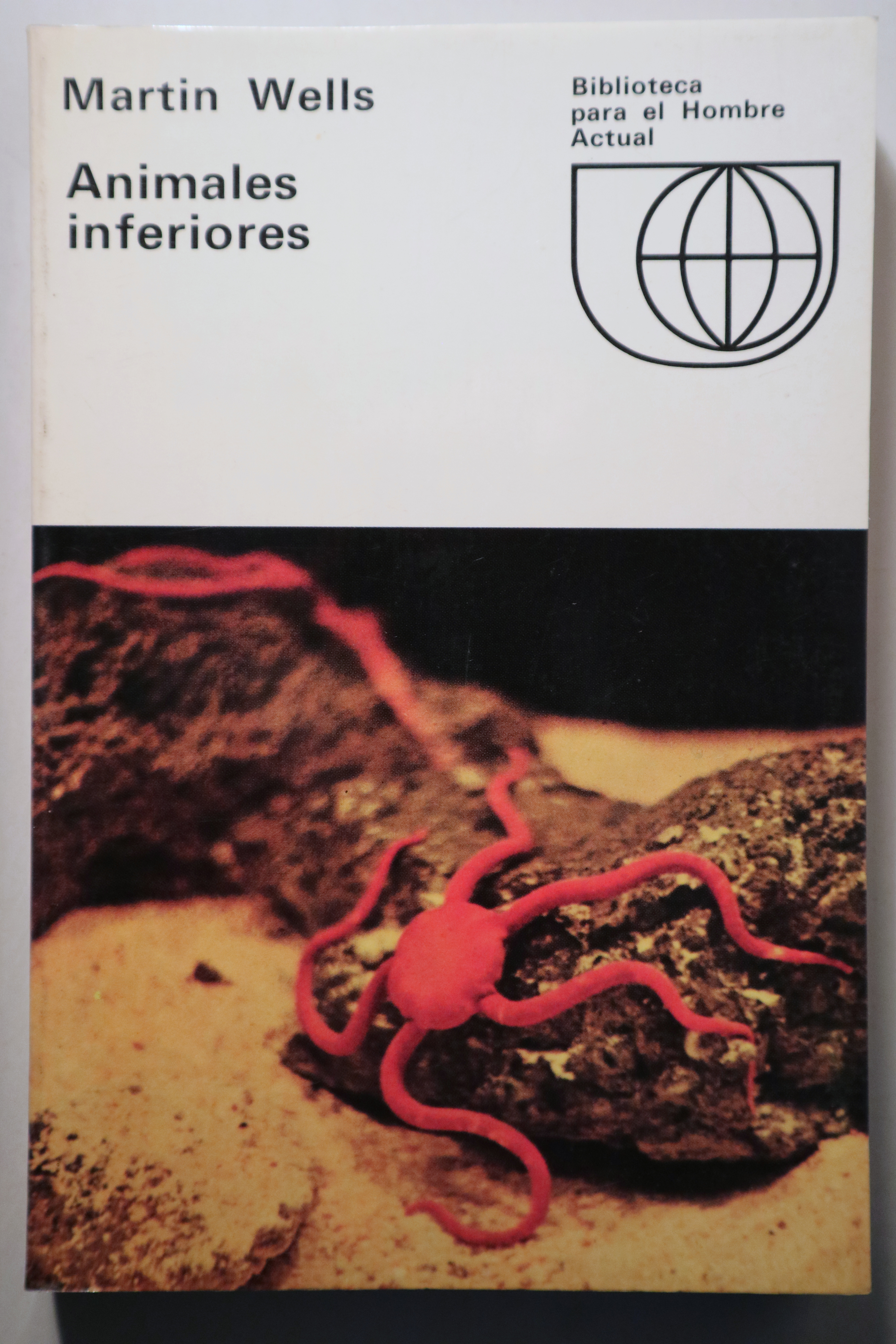ANIMALES INFERIORES - Madrid 1967 - Ilustrado