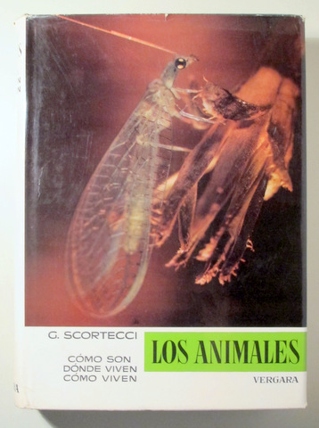LOS ANIMALES vol. V. Insectos -  Barcelona 1967 - Muy ilustrado