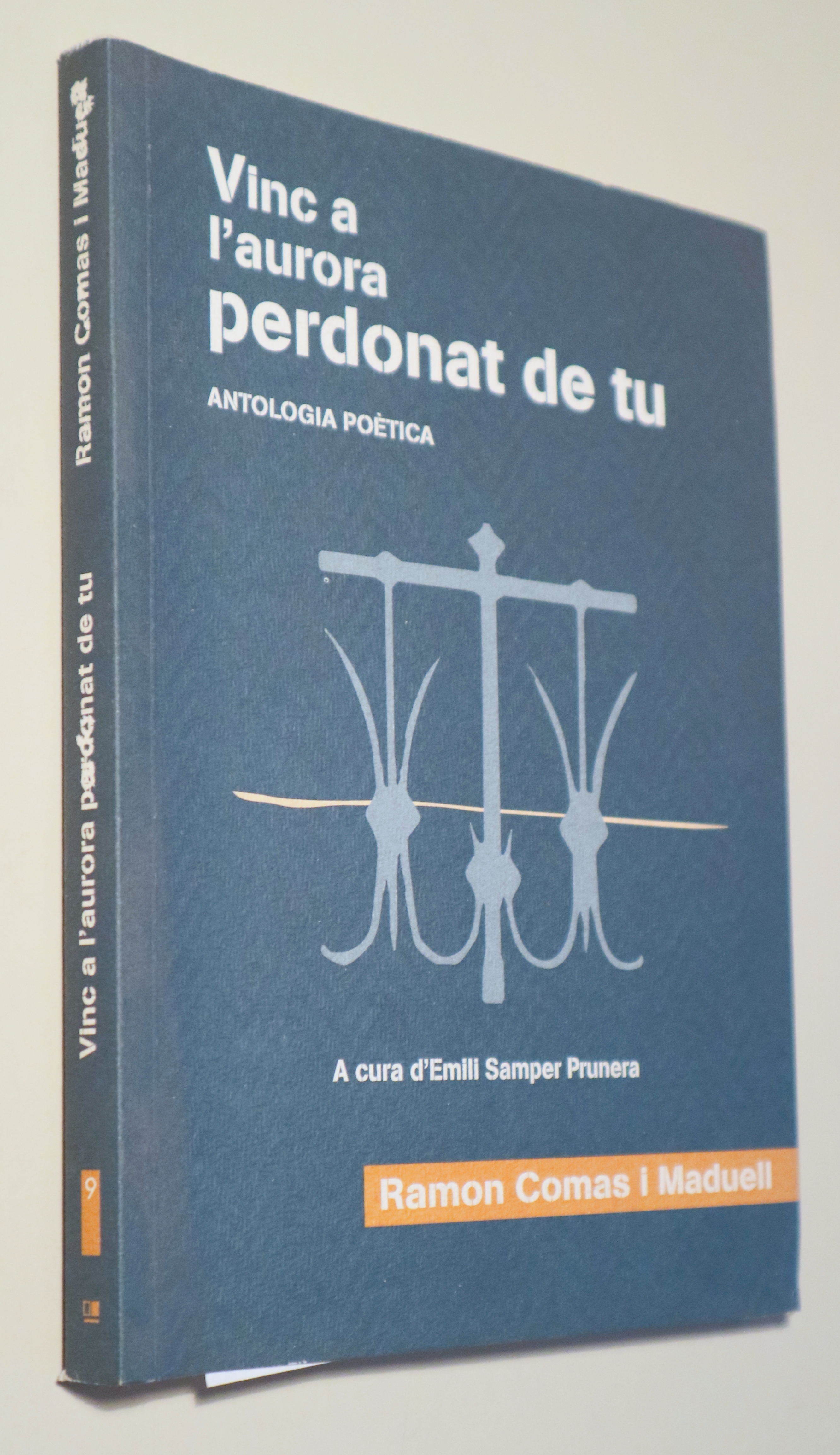 VINC A L'AURORA PERDONAT DE TU. Antologia Poètica - Valls 2003